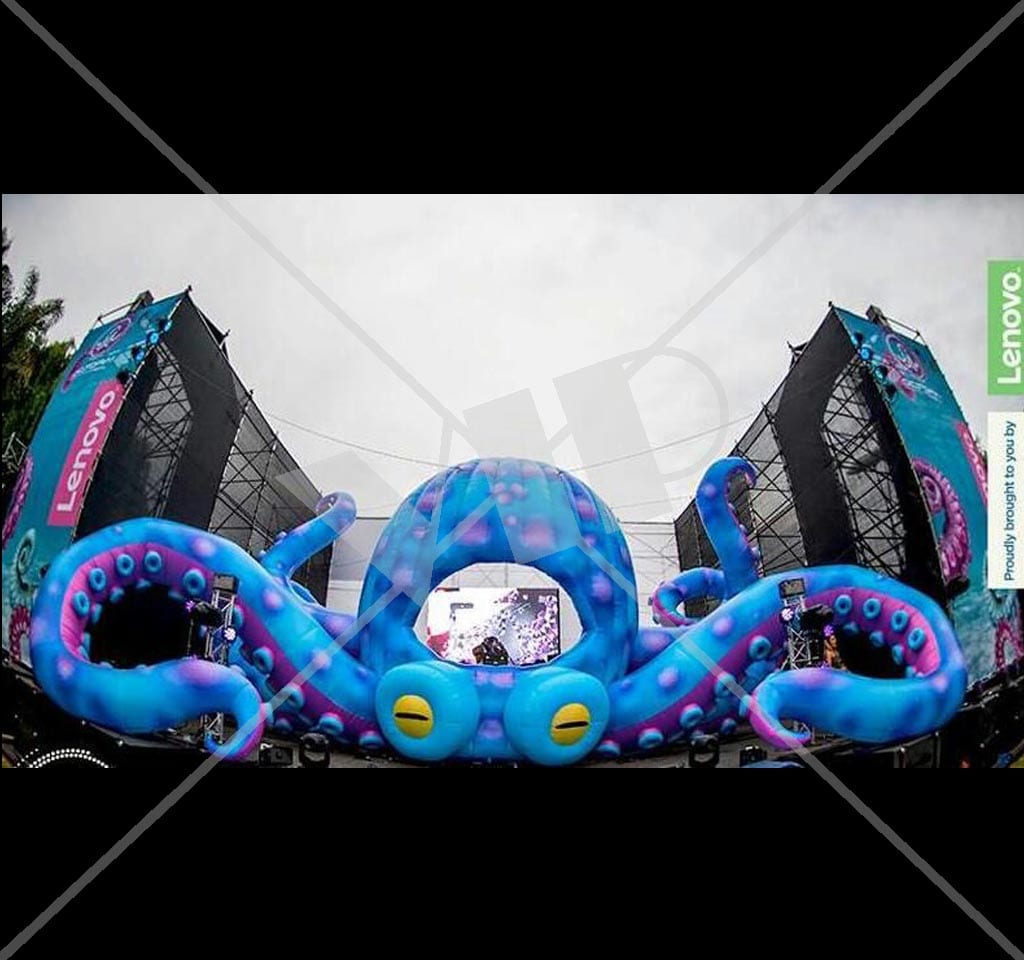 led reversible octopus